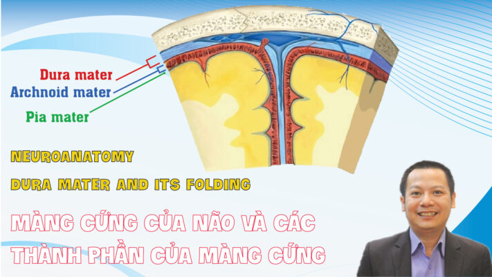 NEUROANATOMY DURA MATER  AND ITS FOLDING MANG CUNG CUA NAO VA CAC THANH PHAN CUA MANG CUNG PHAN 16 01